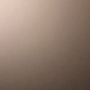 Meet your Posher, Natasha